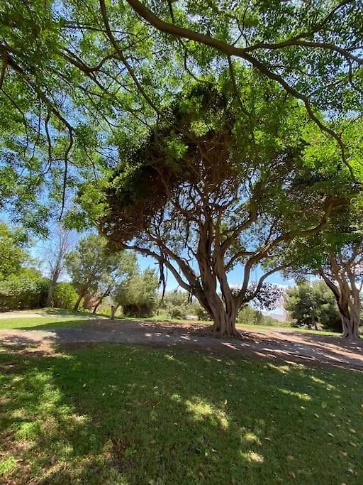 Lejlighed Apt Moderno Con Vistas, Recepcion 24 Hs Y Piscinas Benalmádena